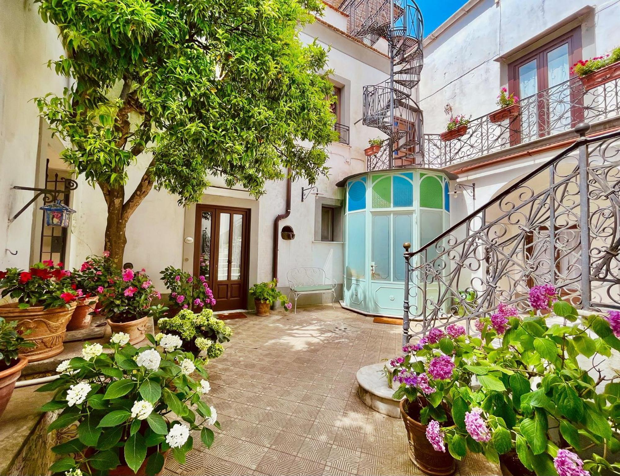 La Dimora: Relax In A Lovely Garden Massa Lubrense Dış mekan fotoğraf